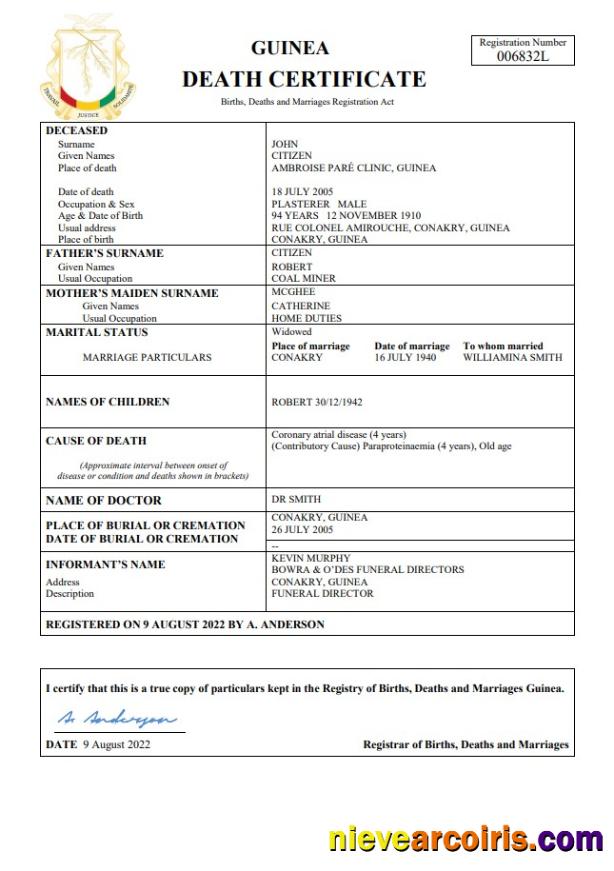 Guinea death certificate